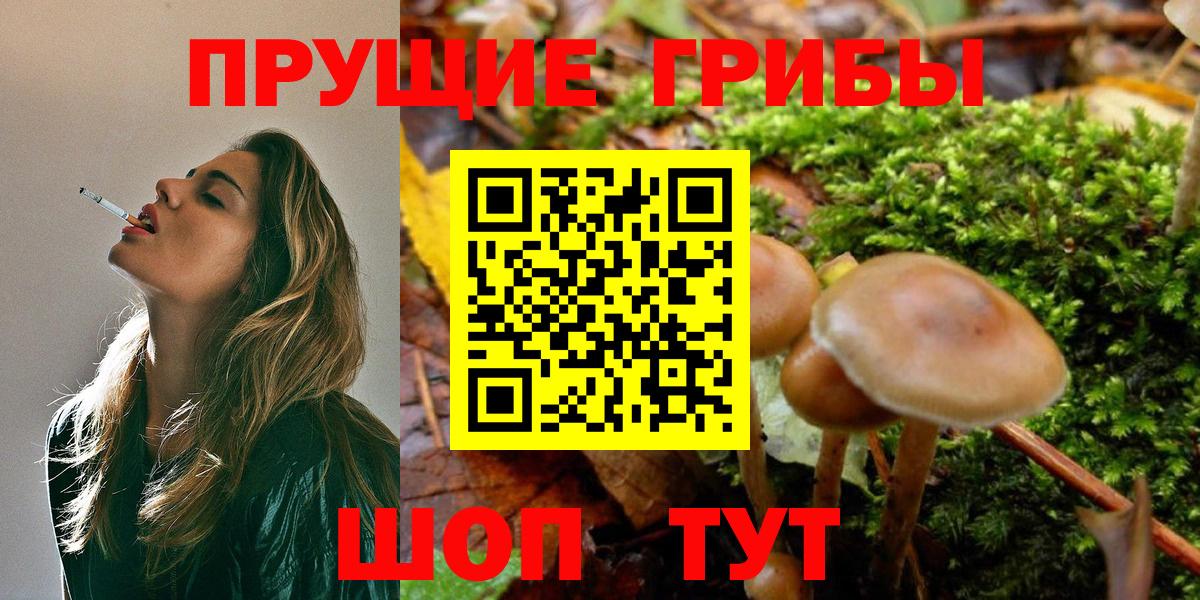 Скопин  Галлюциногенные грибы мицелий  Галлюциногенные грибы Cubensis  Вход с VPN 