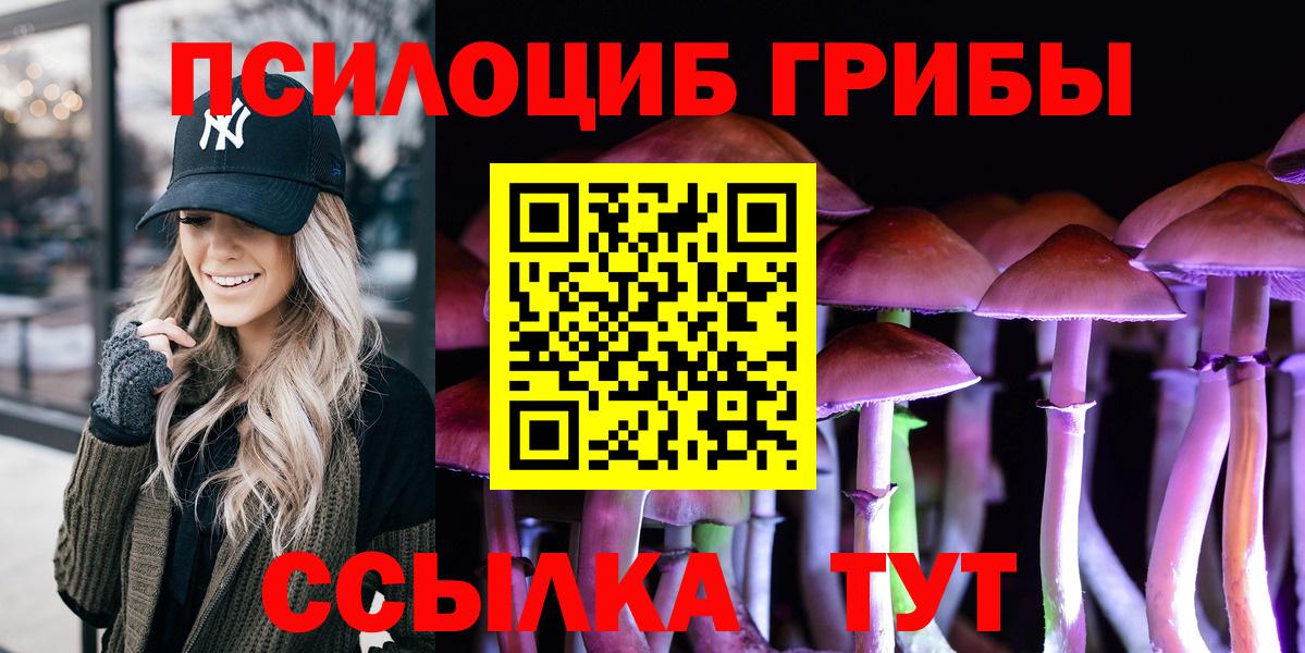 Псилоцибиновые грибы Cubensis Скопин